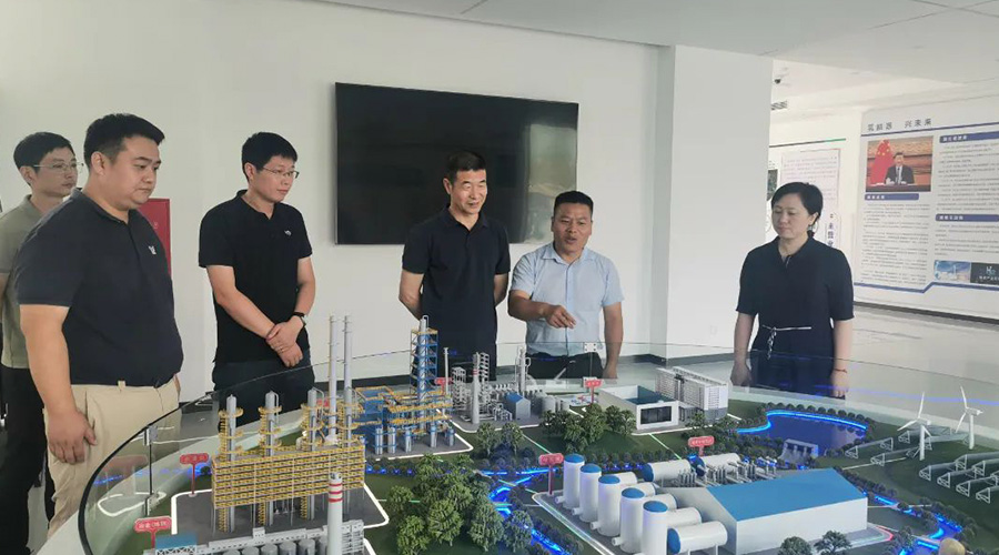 市委统战部副部长杨洪亮一行赴西塞科学谷参观考察国科绿氢